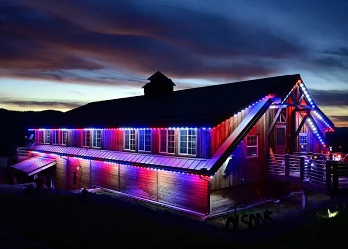 restaurant trimlight